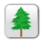 Arborystyka